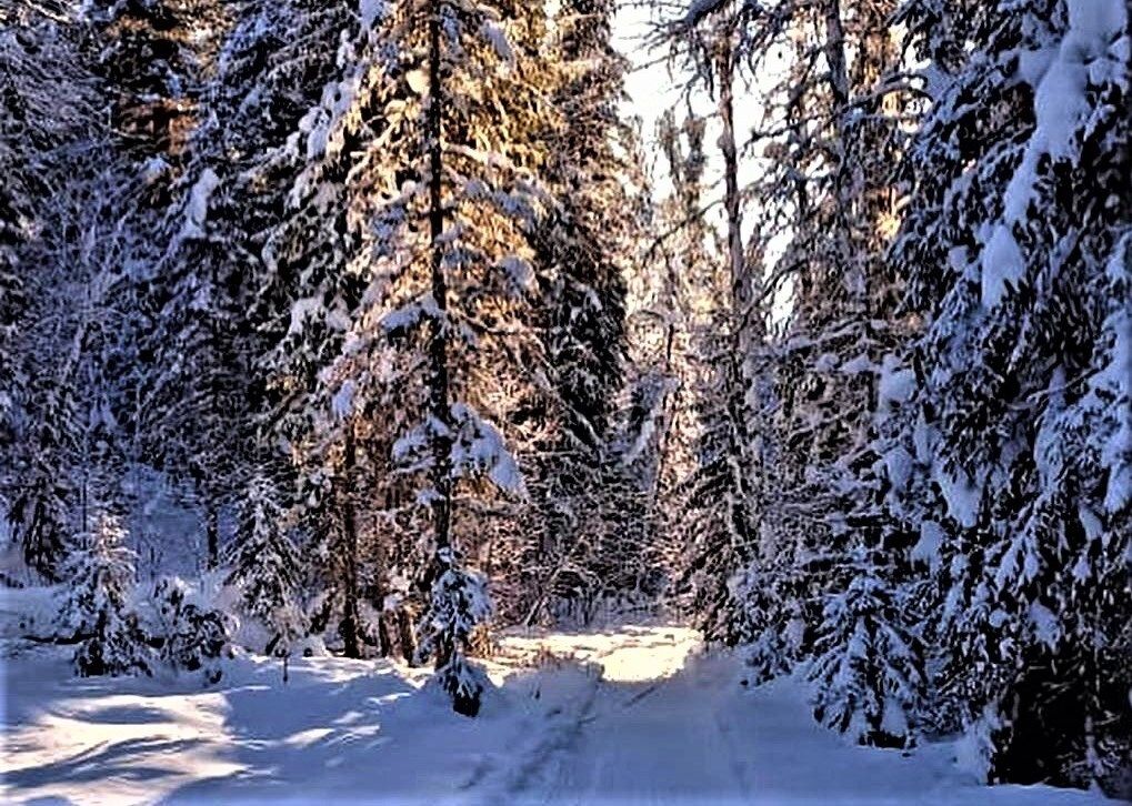 В пещеру Йети